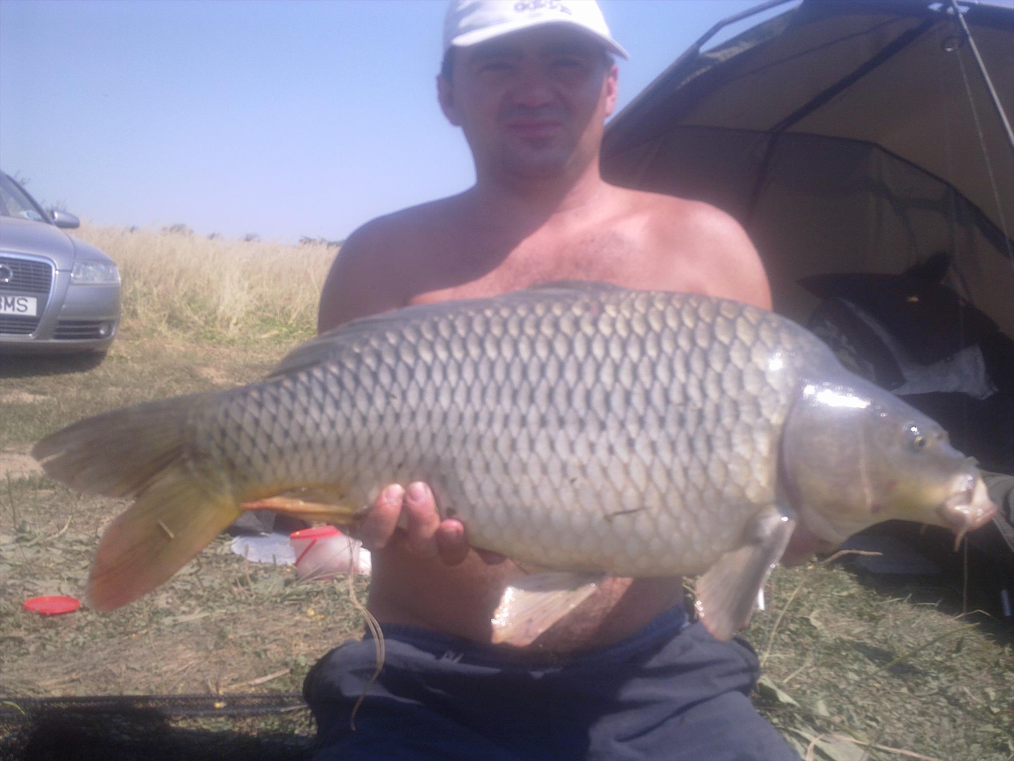 catch & release - 25082010225.jpg